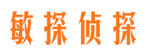 东丰市私家侦探